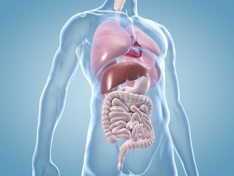 NEU! Bacillus Subtils zum Microbiom des Jahres 2023 gekürt